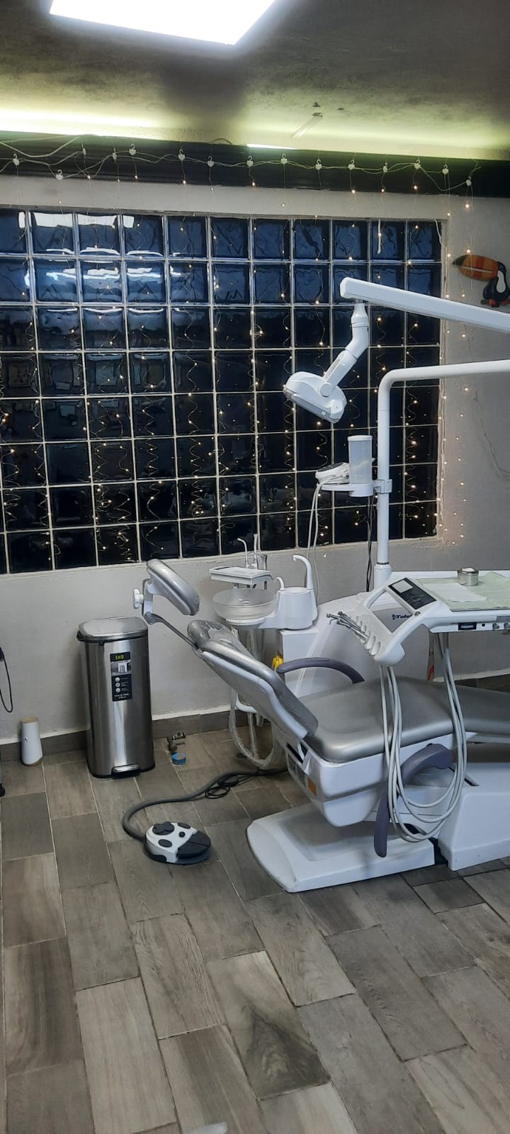 Interior del Consultorio Dental Cárdenas, sillón dental y equipo de trabajo